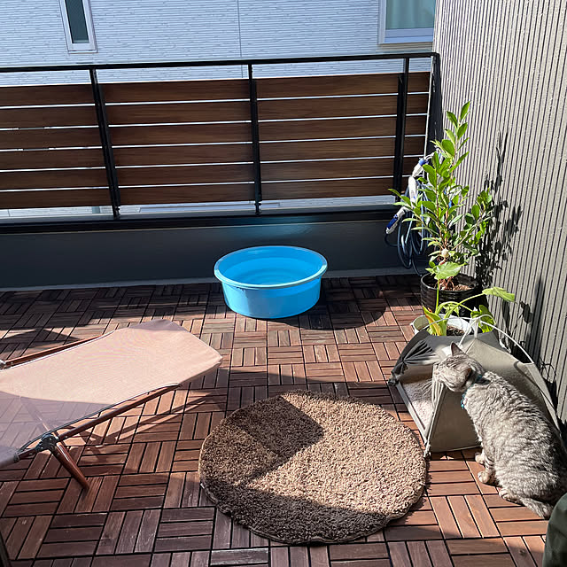 yoshirinさんの部屋