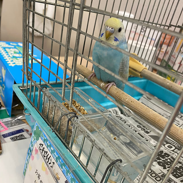 ohanaさんの部屋