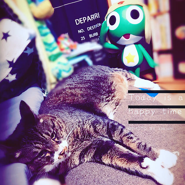 SAKICHIさんの実例写真