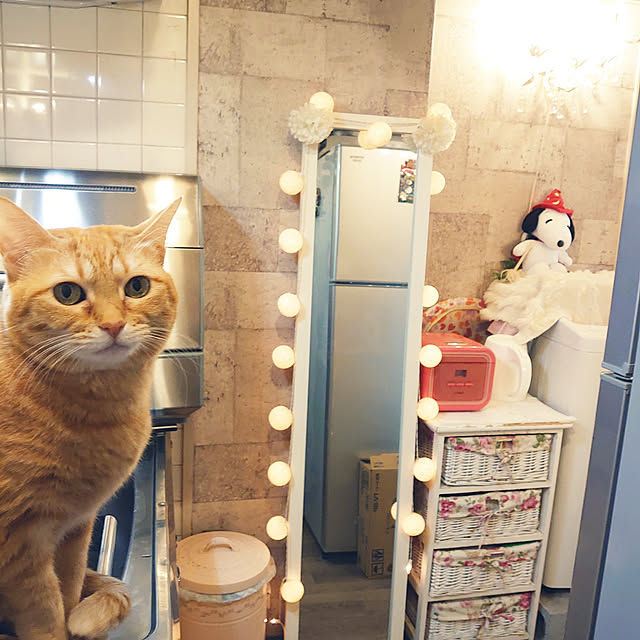 asuminさんの実例写真