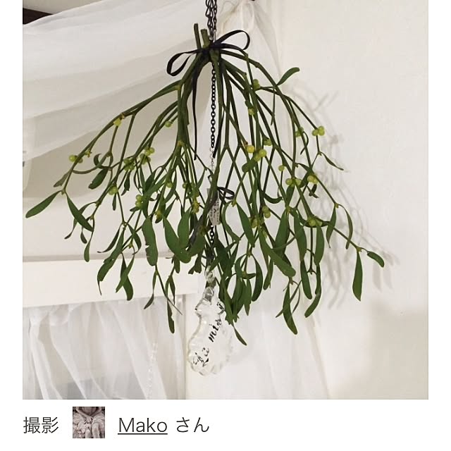 Makoさんの実例写真