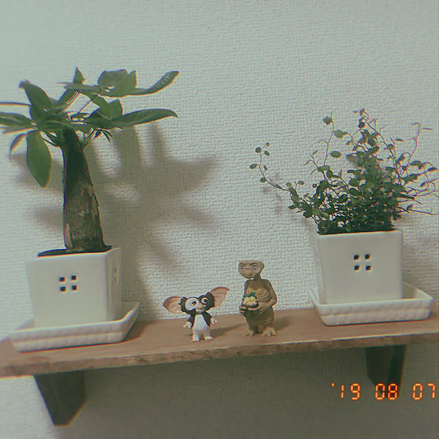 ponさんの実例写真