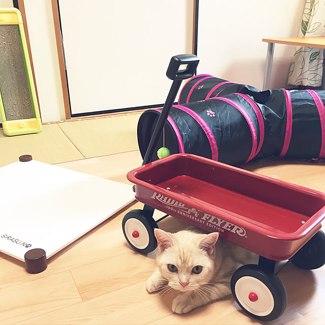 sirasu.nさんの実例写真