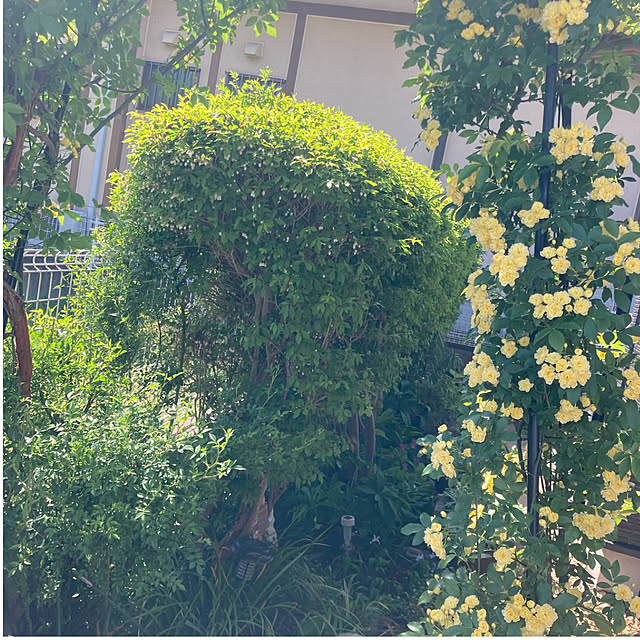 CoCo0617さんの部屋