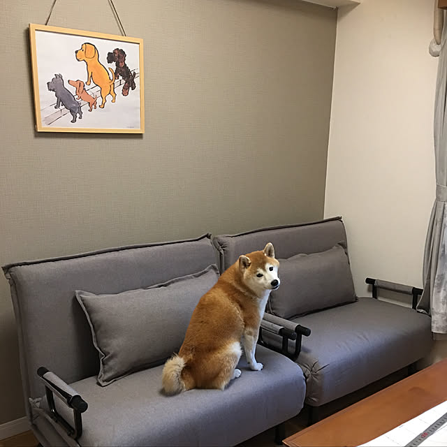 kokoranranさんの実例写真