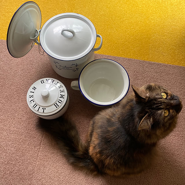 mikomaruさんの実例写真