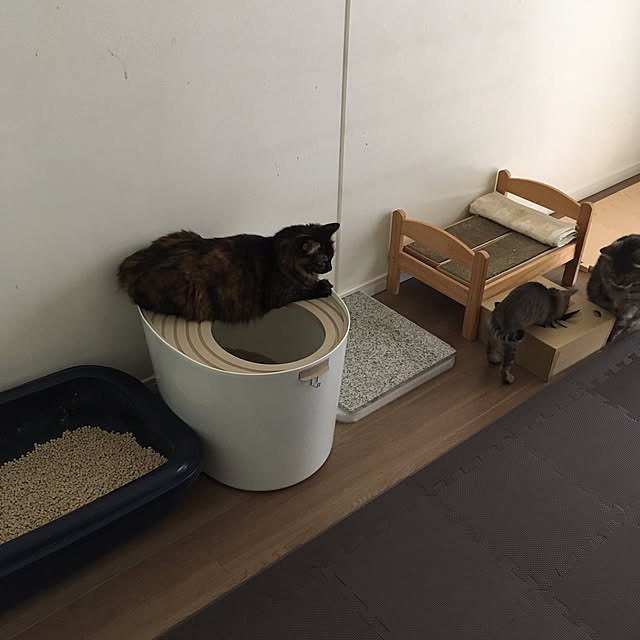 mikomaruさんの実例写真