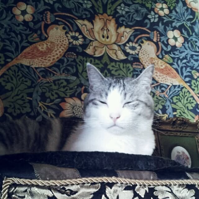 emmyyさんの実例写真