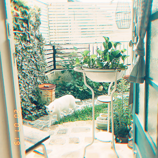 sawaさんの実例写真
