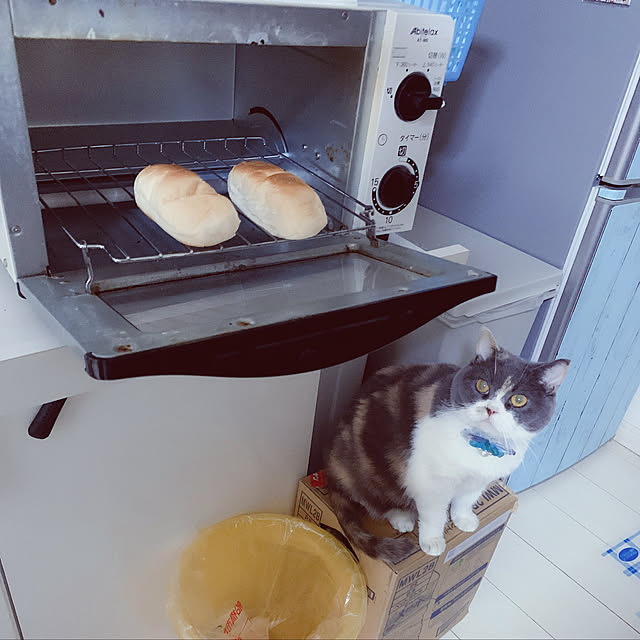 tsugumo8300さんの実例写真