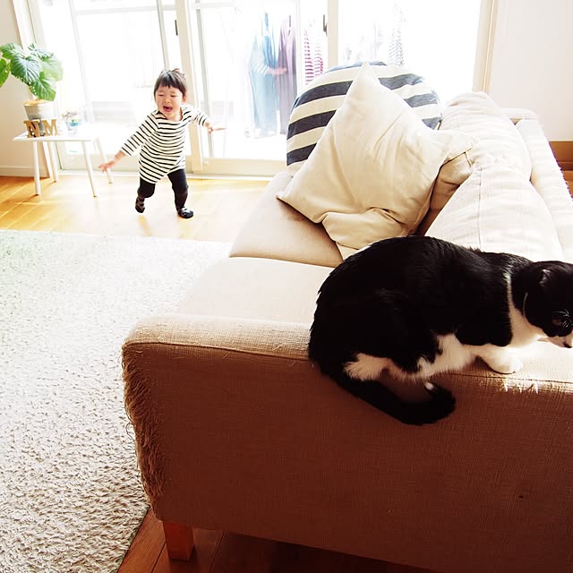 Mihaさんの実例写真