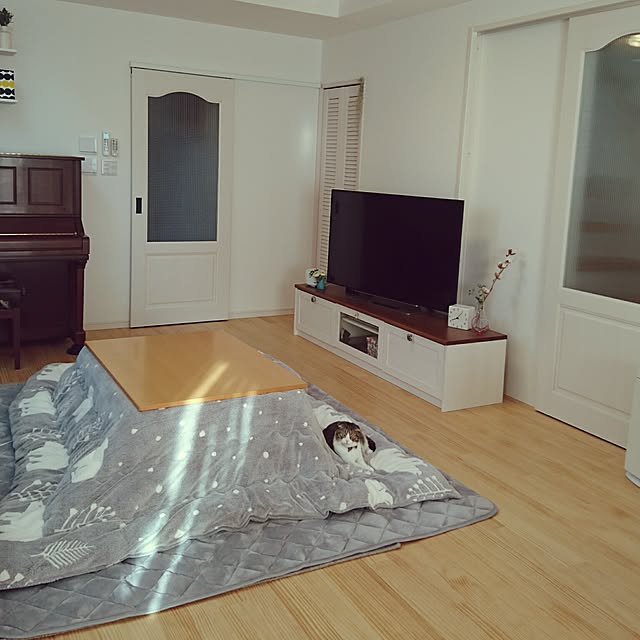 Akariさんの実例写真