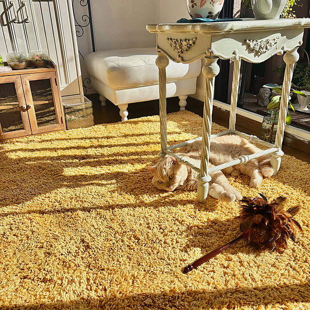 naokoさんの実例写真