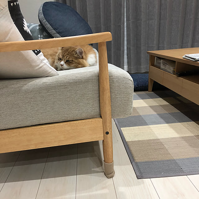 nnkttoさんの実例写真