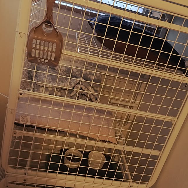 chouchouさんの実例写真