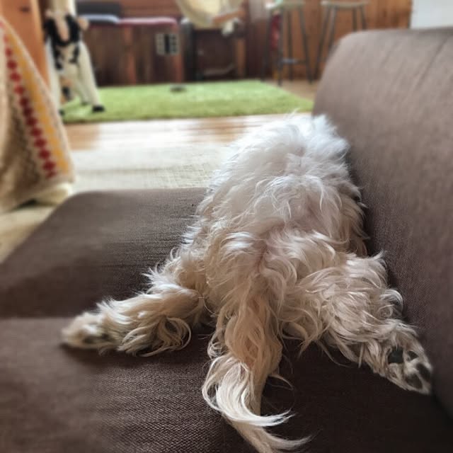 Mackyさんの実例写真