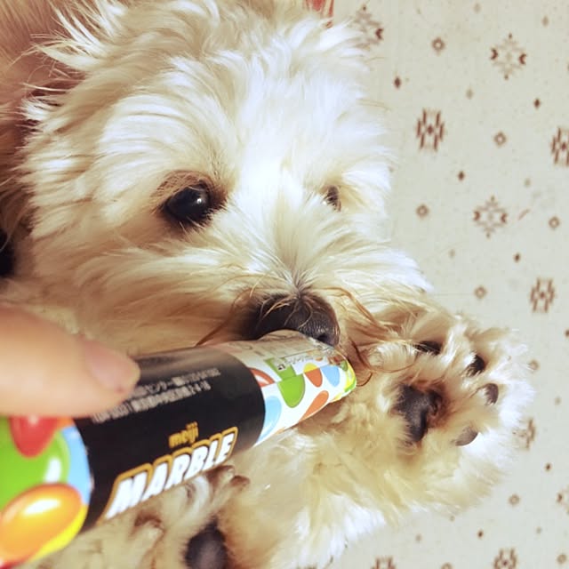 ichichiさんの実例写真