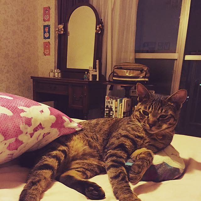 kayakoさんの実例写真