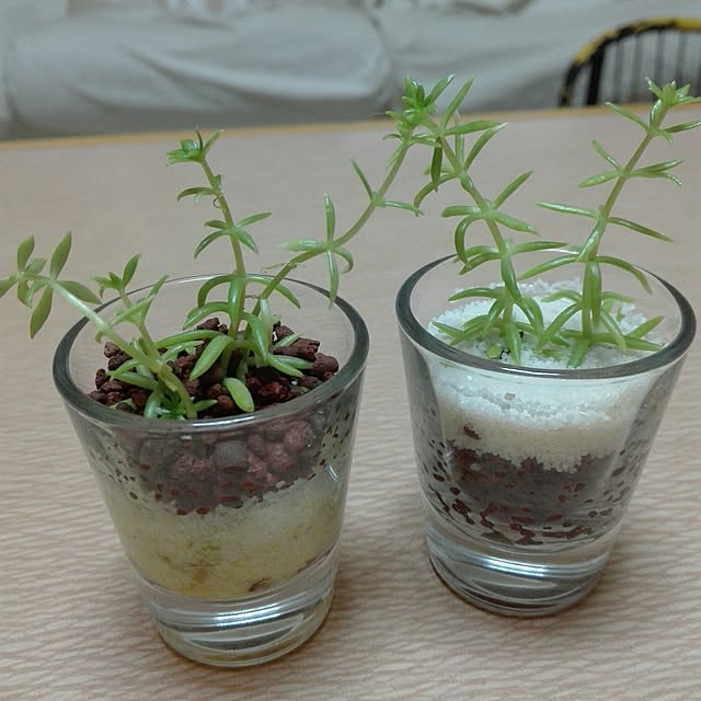 sumieさんの実例写真