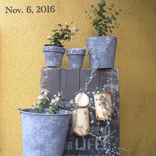 natulove0418さんの実例写真