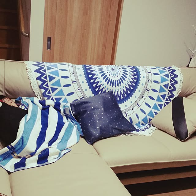 nori-.52.-ironさんの実例写真