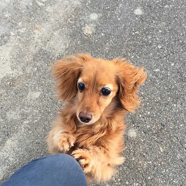 sakuさんの実例写真