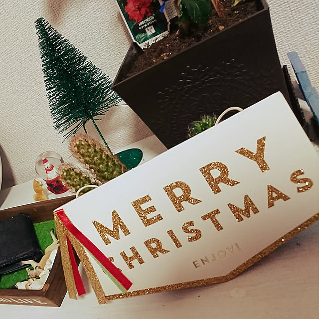 Harukaさんの実例写真