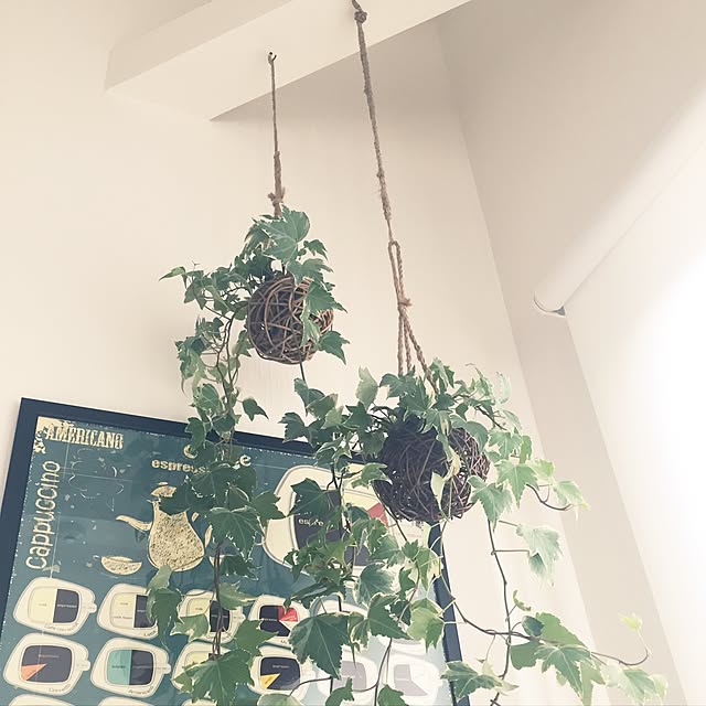 mal.tmさんの実例写真