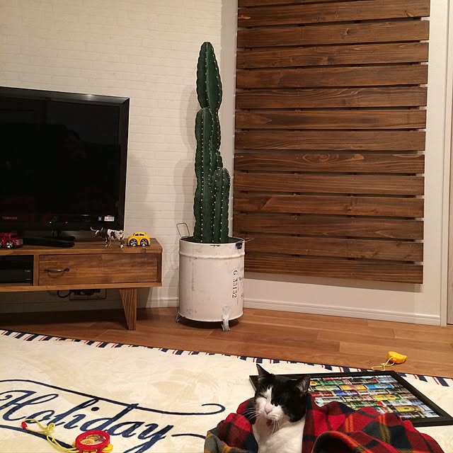 asabouzuさんの実例写真