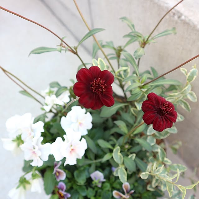 aya_blueさんの部屋