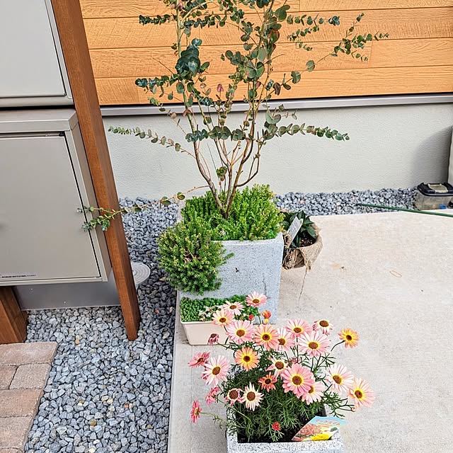 tomatopapaさんの実例写真
