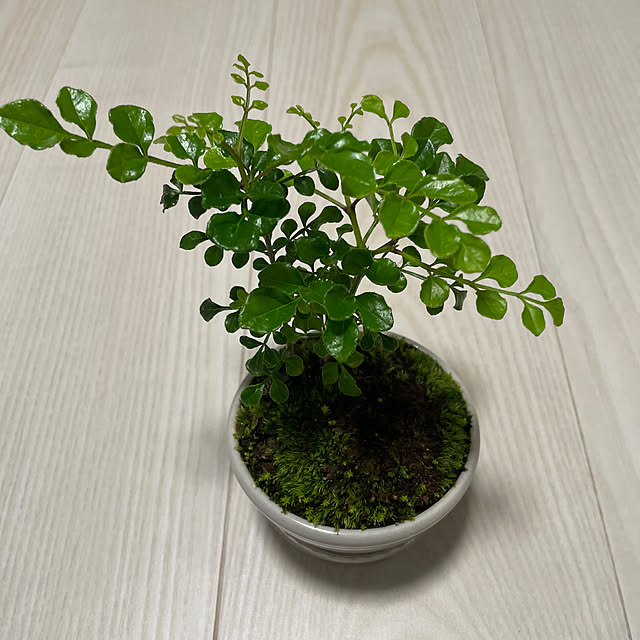 naotokahoさんの部屋