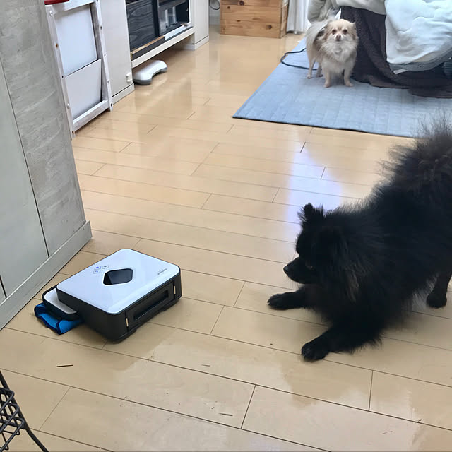 BbBbさんの実例写真