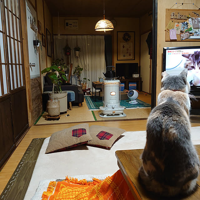 fukuさんの実例写真