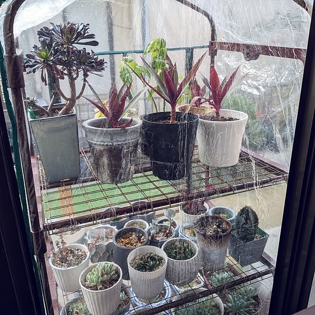 Renさんの実例写真