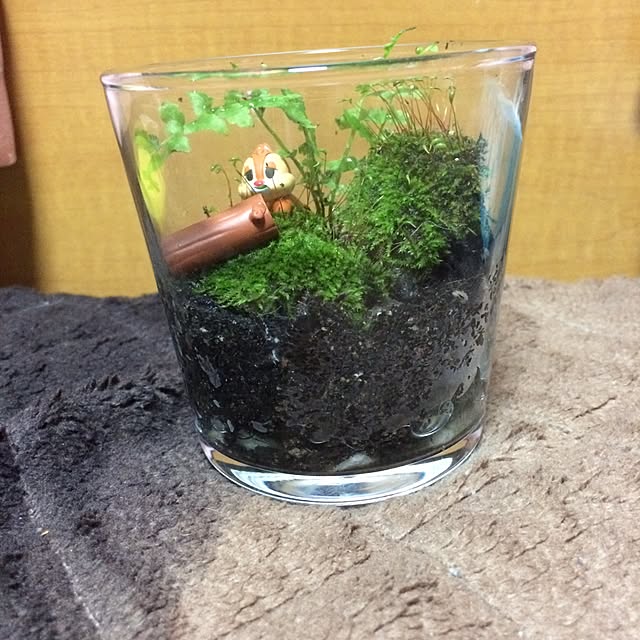 hisahimeさんの実例写真