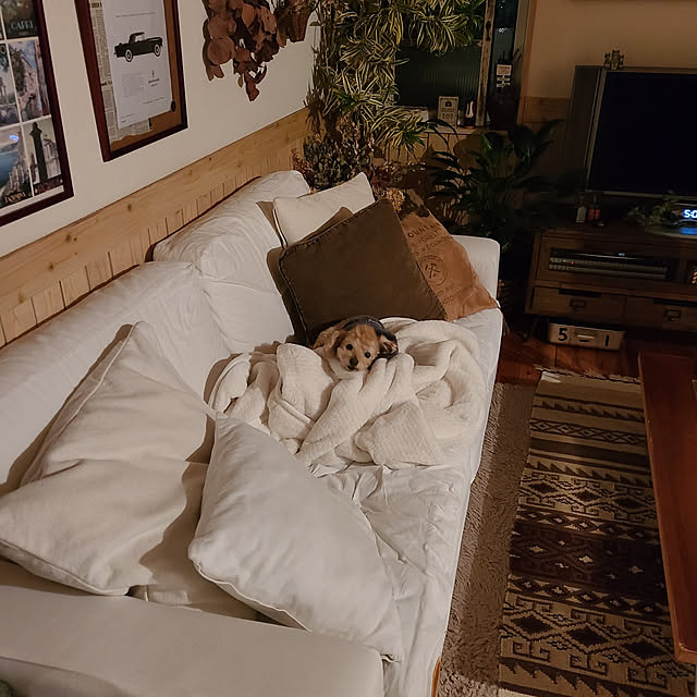 KINTARO11.11さんの実例写真