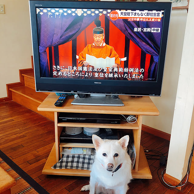 jewel-ynmさんの実例写真