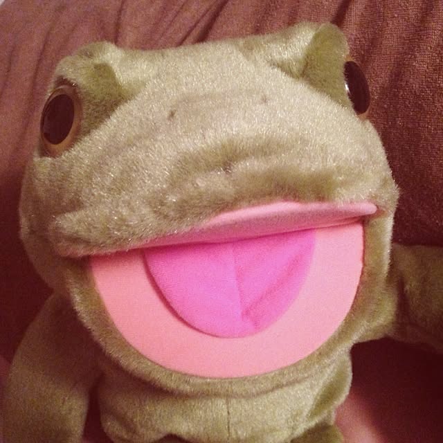 pyonさんの実例写真