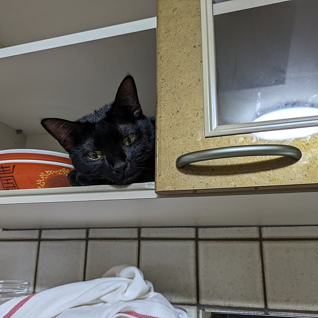 asaさんの実例写真