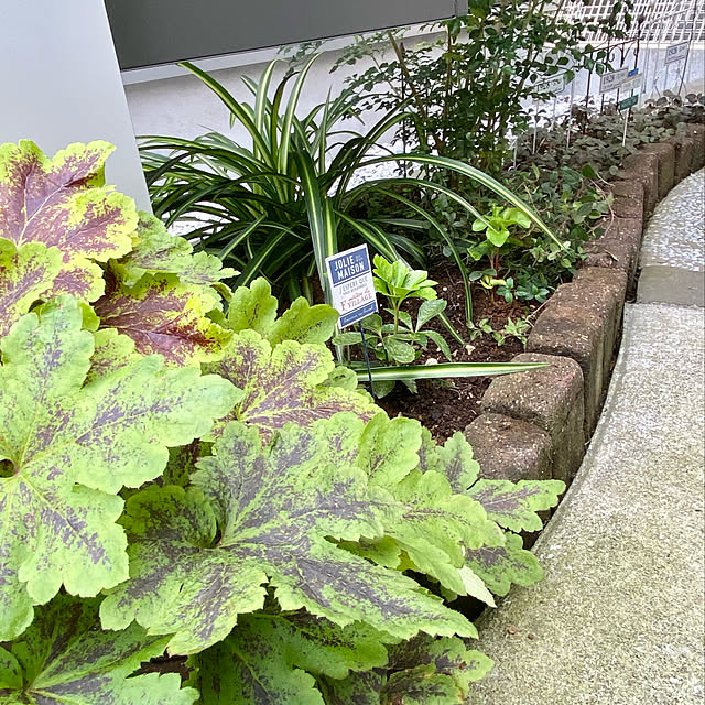hananokaoriさんの実例写真
