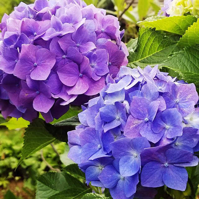 rumirumiさんの実例写真