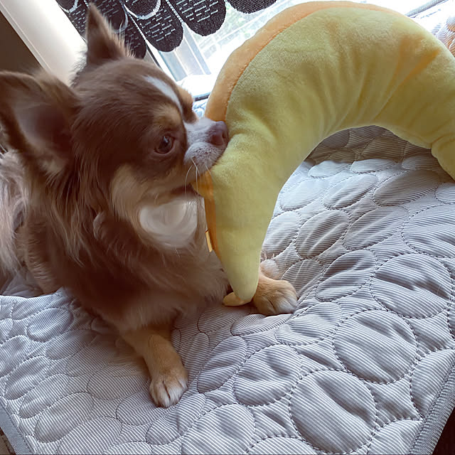 chocoさんの実例写真