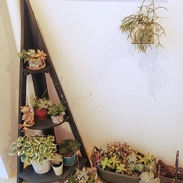 kkkさんの部屋