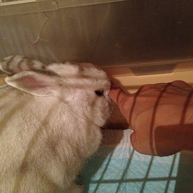 kimuさんの実例写真