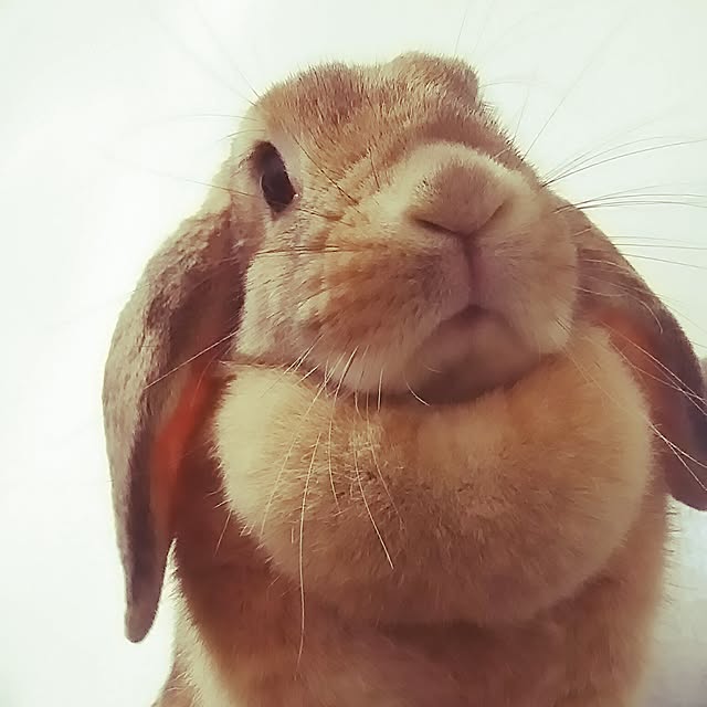 utaさんの実例写真