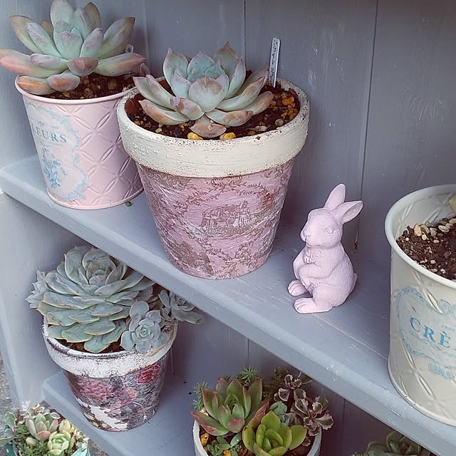 mi-tsuさんの部屋