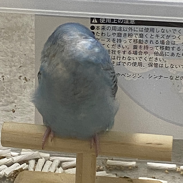ohanaさんの部屋