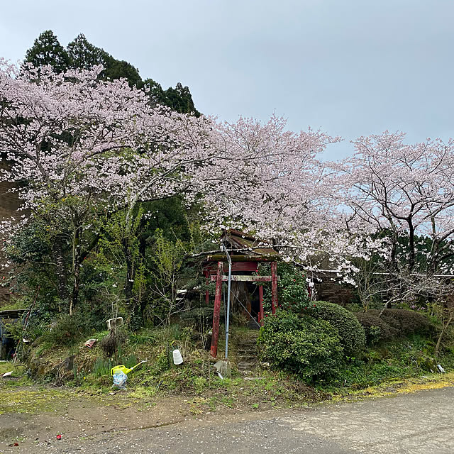sck9088さんの実例写真
