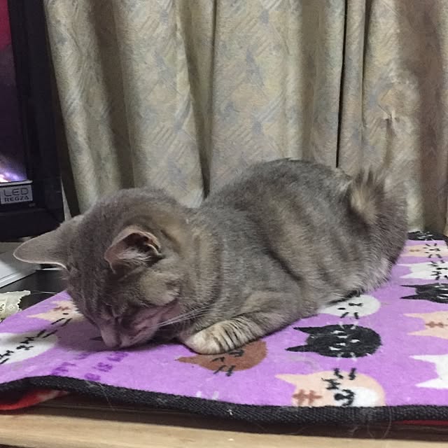 naworinさんの実例写真